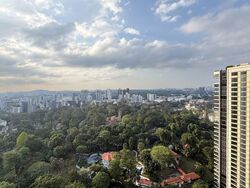 The Scotts Tower (D9), Condominium #538507461